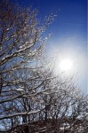 photo No. IMG_7521