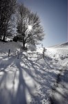 photo No. IMG_7527