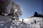 photo No. IMG_7528