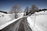 photo No. IMG_7532