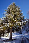 photo No. IMG_7545