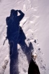 photo No. IMG_7550