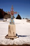 photo No. IMG_7553