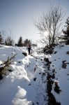 photo No. IMG_7558