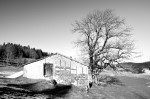 photo No. IMG_7582