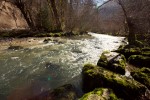 photo No. IMG_7622