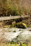 photo No. IMG_7625