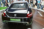 photo No. IMG_7831
