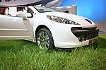 photo No. IMG_7851