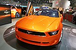 photo No. IMG_7985