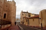 photo No. IMG_8119