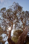 photo No. IMG_8193