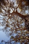 photo No. IMG_8194