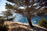 photo No. IMG_8195
