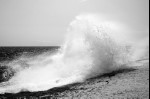 photo No. IMG_8215