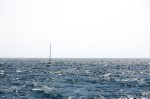 photo No. IMG_8256