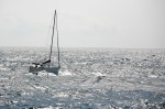 photo No. IMG_8259