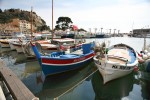 photo No. IMG_8264