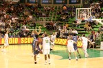 photo No. IMG_8335