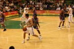 photo No. IMG_8385