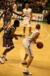 photo No. IMG_8431