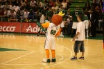 photo No. IMG_8442