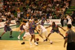 photo No. IMG_8497