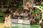 photo No. IMG_8505