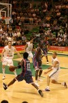 photo No. IMG_8641