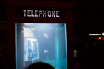 photo No. IMG_2642