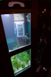 photo No. IMG_2648