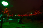 photo No. IMG_2685