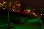 photo No. IMG_2689
