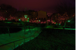 photo No. IMG_2690