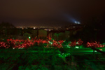 photo No. IMG_2693
