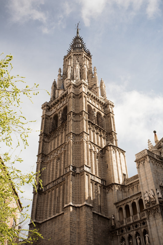 _MG_3467
