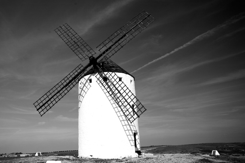 _MG_3659