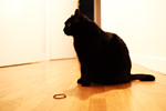 photo No. 100320_3872