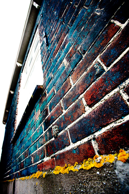 100805_5856